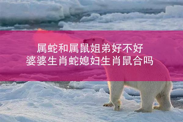 属蛇和属鼠姐弟好不好 婆婆生肖蛇媳妇生肖鼠合吗