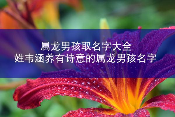 属龙男孩取名字大全 姓韦涵养有诗意的属龙男孩名字