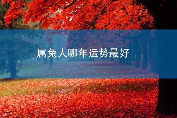属兔人哪年运势最好