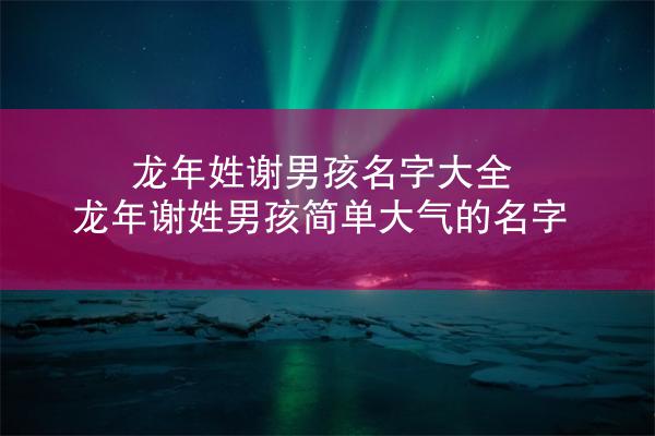 龙年姓谢男孩名字大全 龙年谢姓男孩简单大气的名字