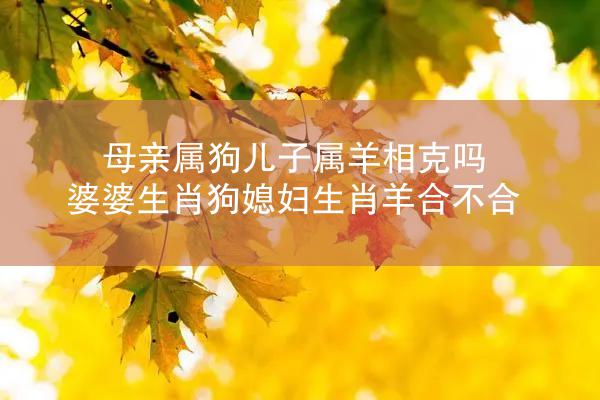 母亲属狗儿子属羊相克吗 婆婆生肖狗媳妇生肖羊合不合
