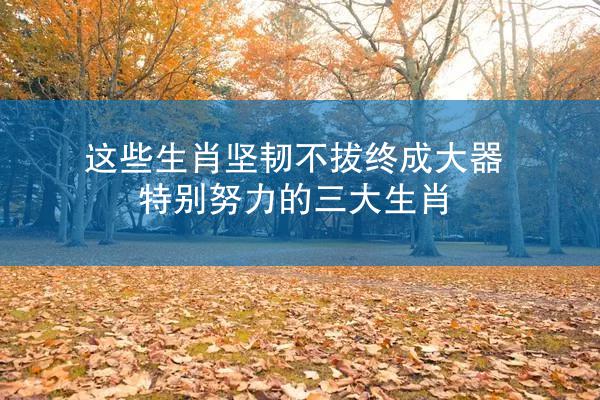 这些生肖坚韧不拔终成大器 特别努力的三大生肖