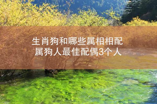 生肖狗和哪些属相相配 属狗人最佳配偶3个人