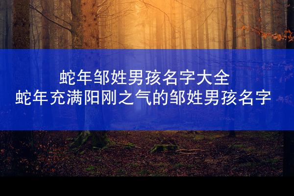 蛇年邹姓男孩名字大全 蛇年充满阳刚之气的邹姓男孩名字