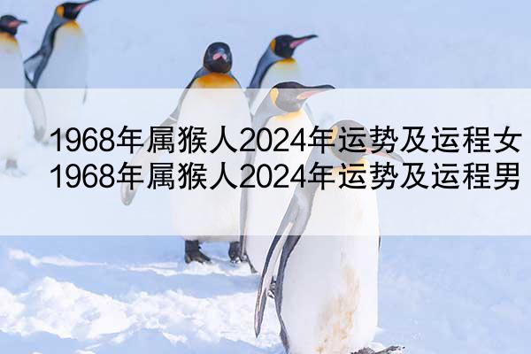 1968年属猴人2024年运势及运程女 1968年属猴人2024年运势及运程男