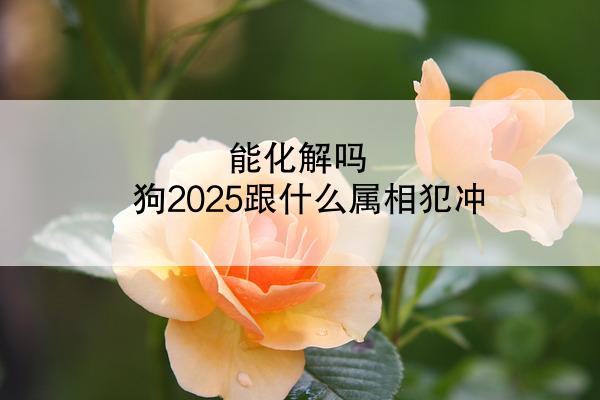 能化解吗 狗2025跟什么属相犯冲