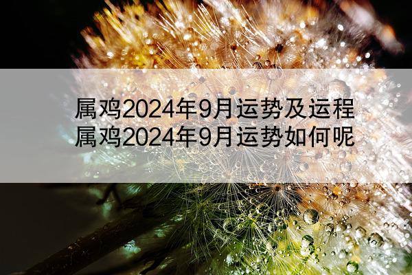 属鸡2024年9月运势及运程 属鸡2024年9月运势如何呢
