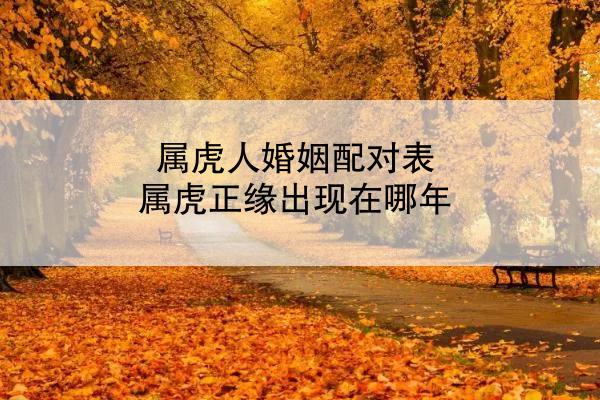 属虎人婚姻配对表 属虎正缘出现在哪年