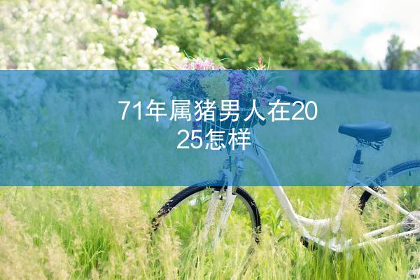 71年属猪男人在2025怎样