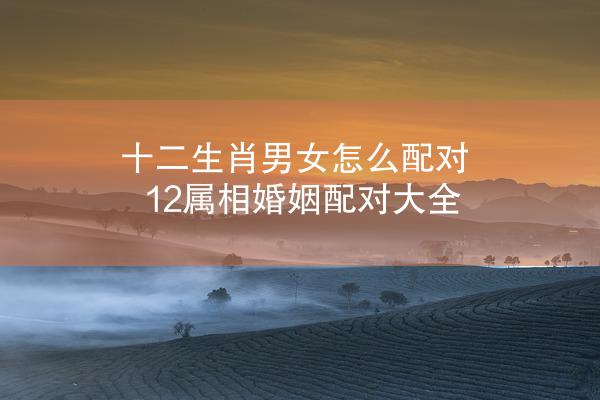 十二生肖男女怎么配对 12属相婚姻配对大全