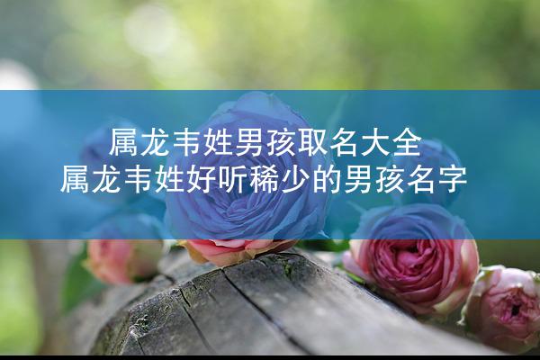 属龙韦姓男孩取名大全 属龙韦姓好听稀少的男孩名字
