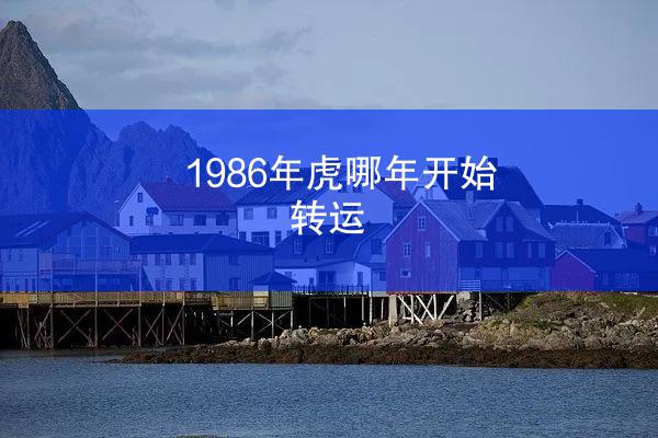1986年虎哪年开始转运
