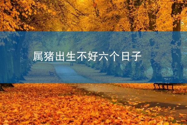 属猪出生不好六个日子