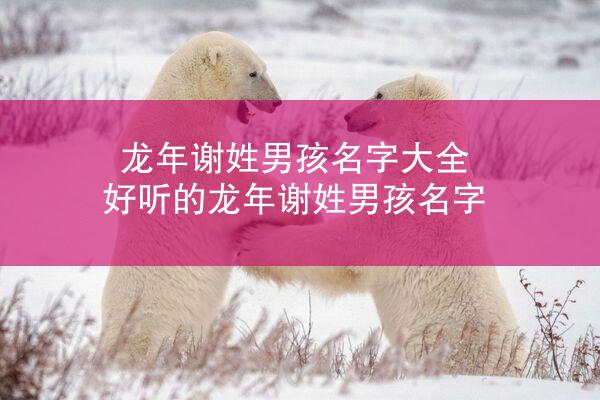 龙年谢姓男孩名字大全 好听的龙年谢姓男孩名字