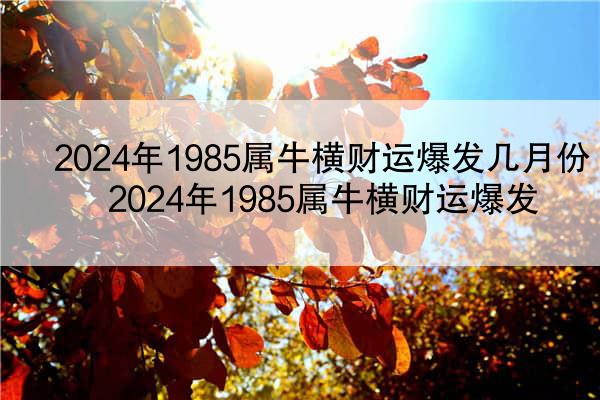 2024年1985属牛横财运爆发几月份 2024年1985属牛横财运爆发