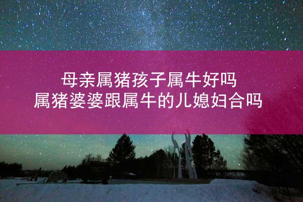 母亲属猪孩子属牛好吗 属猪婆婆跟属牛的儿媳妇合吗