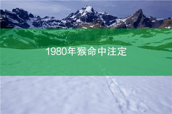 1980年猴命中注定