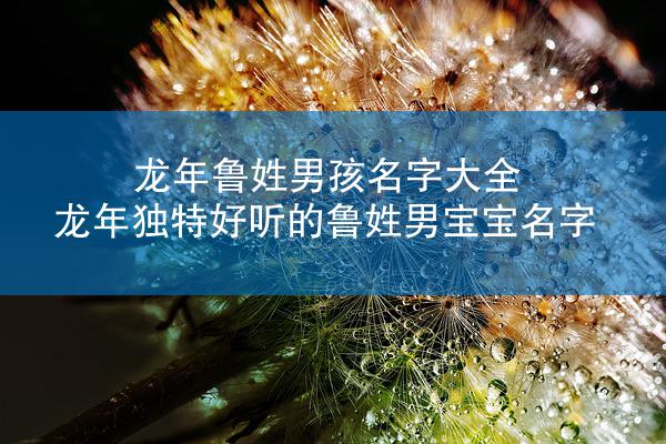 龙年鲁姓男孩名字大全 龙年独特好听的鲁姓男宝宝名字