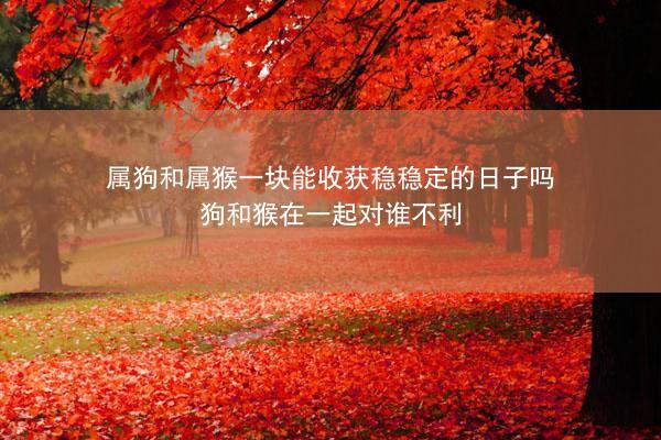 属狗和属猴一块能收获稳稳定的日子吗 狗和猴在一起对谁不利
