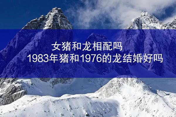 女猪和龙相配吗 1983年猪和1976的龙结婚好吗
