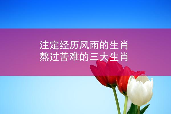 注定经历风雨的生肖 熬过苦难的三大生肖