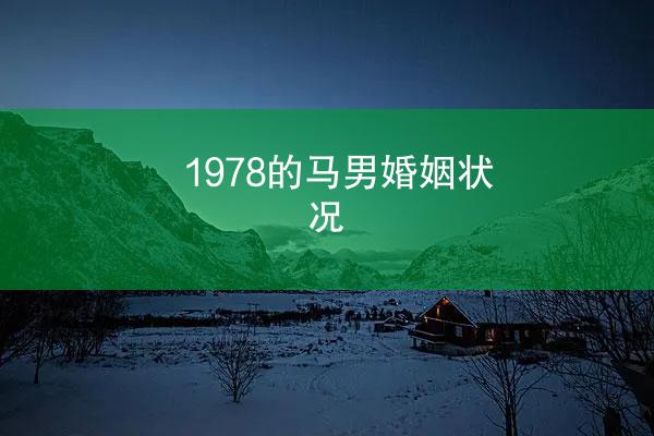 1978的马男婚姻状况
