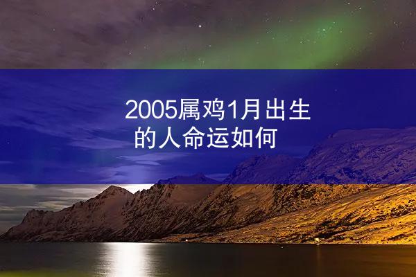 2005属鸡1月出生的人命运如何