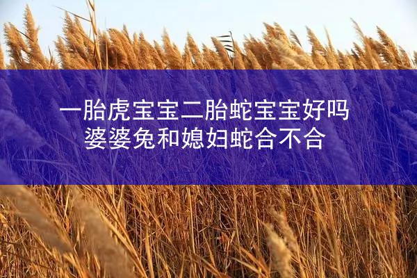 一胎虎宝宝二胎蛇宝宝好吗 婆婆兔和媳妇蛇合不合