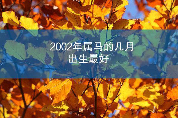 2002年属马的几月出生最好