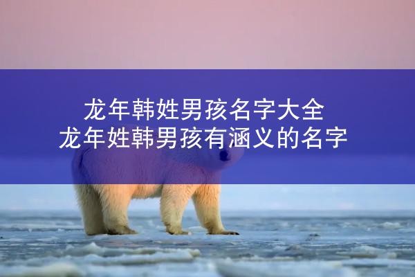 龙年韩姓男孩名字大全 龙年姓韩男孩有涵义的名字