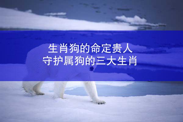 生肖狗的命定贵人 守护属狗的三大生肖