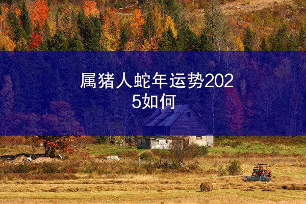 属猪人蛇年运势2025如何