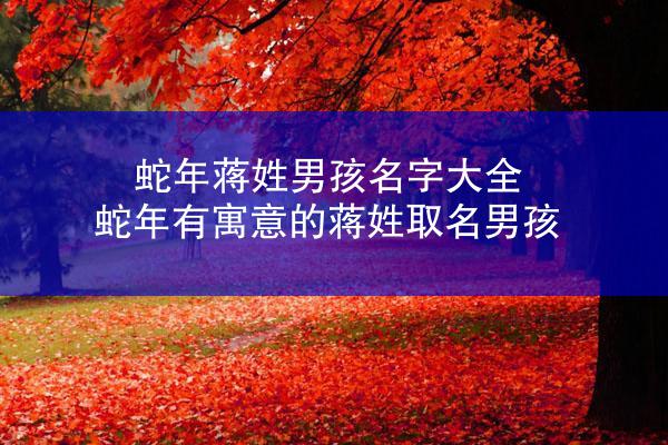 蛇年蒋姓男孩名字大全 蛇年有寓意的蒋姓取名男孩