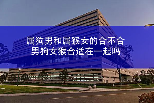 属狗男和属猴女的合不合 男狗女猴合适在一起吗
