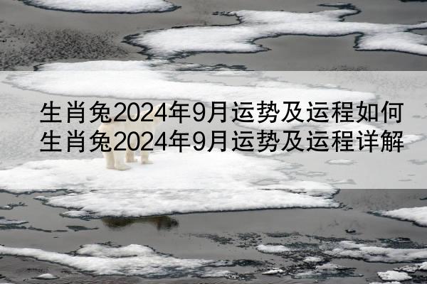生肖兔2024年9月运势及运程如何 生肖兔2024年9月运势及运程详解
