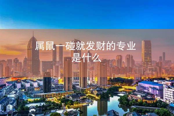 属鼠一碰就发财的专业是什么