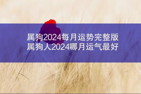属狗2024每月运势完整版 属狗人2024哪月运气最好