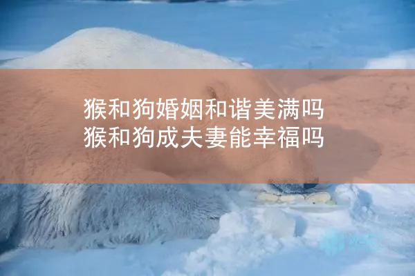 猴和狗婚姻和谐美满吗 猴和狗成夫妻能幸福吗