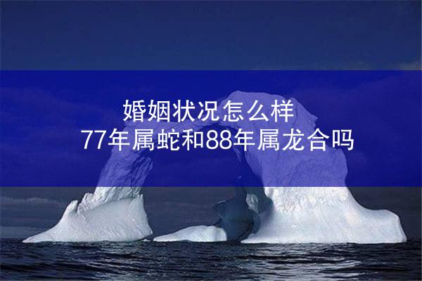 婚姻状况怎么样 77年属蛇和88年属龙合吗