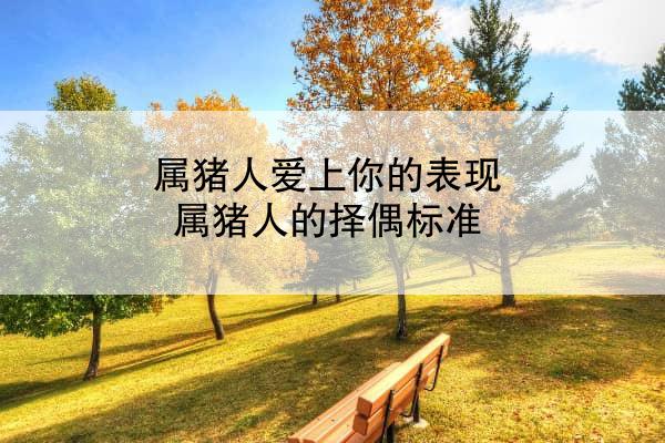 属猪人爱上你的表现 属猪人的择偶标准