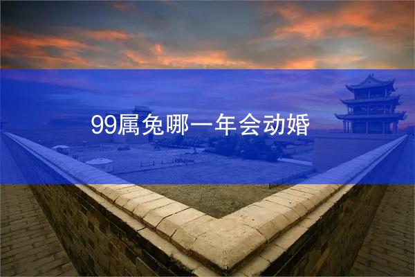 99属兔哪一年会动婚
