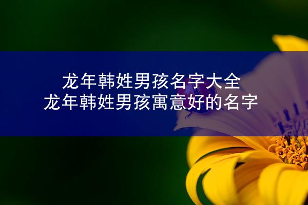 龙年韩姓男孩名字大全 龙年韩姓男孩寓意好的名字