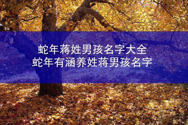 蛇年蒋姓男孩名字大全 蛇年有涵养姓蒋男孩名字