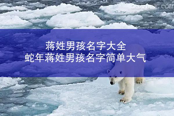蒋姓男孩名字大全 蛇年蒋姓男孩名字简单大气