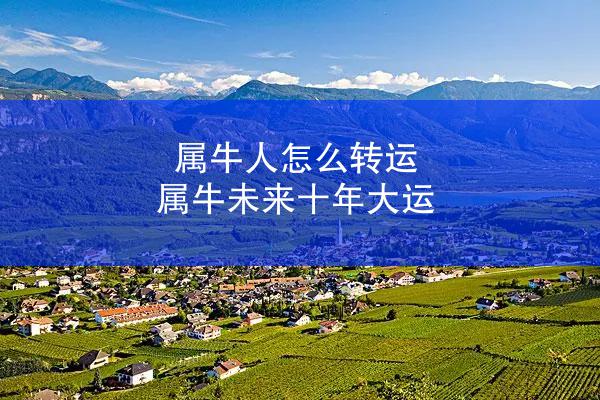 属牛人怎么转运 属牛未来十年大运