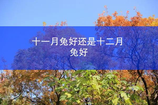 十一月兔好还是十二月兔好