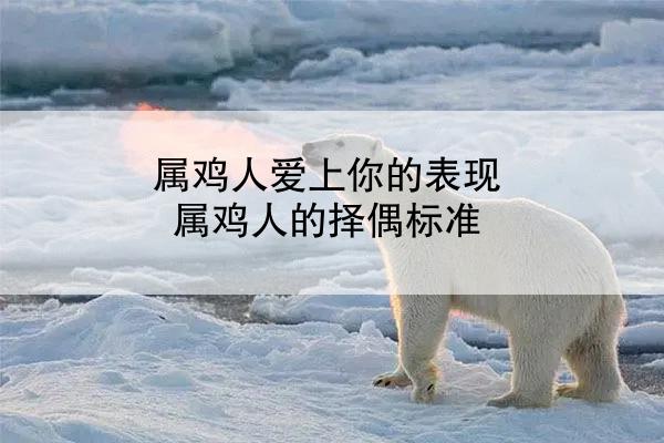 属鸡人爱上你的表现 属鸡人的择偶标准
