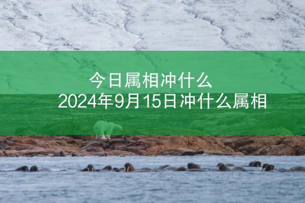 今日属相冲什么 2024年9月15日冲什么属相