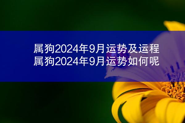 属狗2024年9月运势及运程 属狗2024年9月运势如何呢