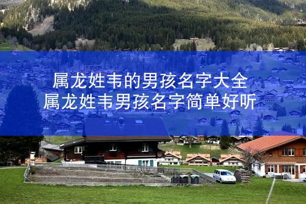 属龙姓韦的男孩名字大全 属龙姓韦男孩名字简单好听